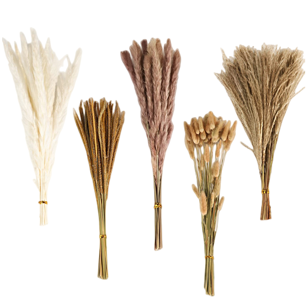 Pampas Grass Decor - Herfst Vintage Gemengd Gedroogd Bloemenboeket, Pampasgras,