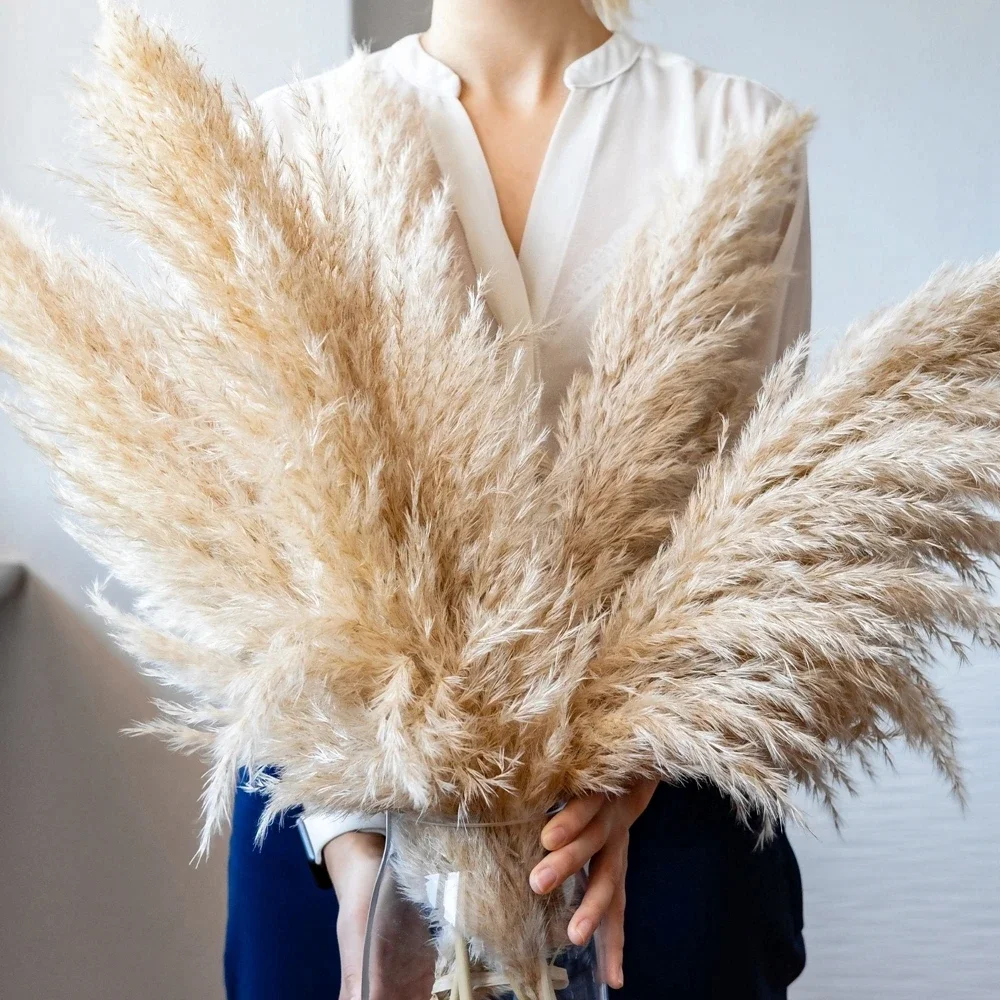 Pampas Grass Decor - 120 cm - 130 cm pluizig
