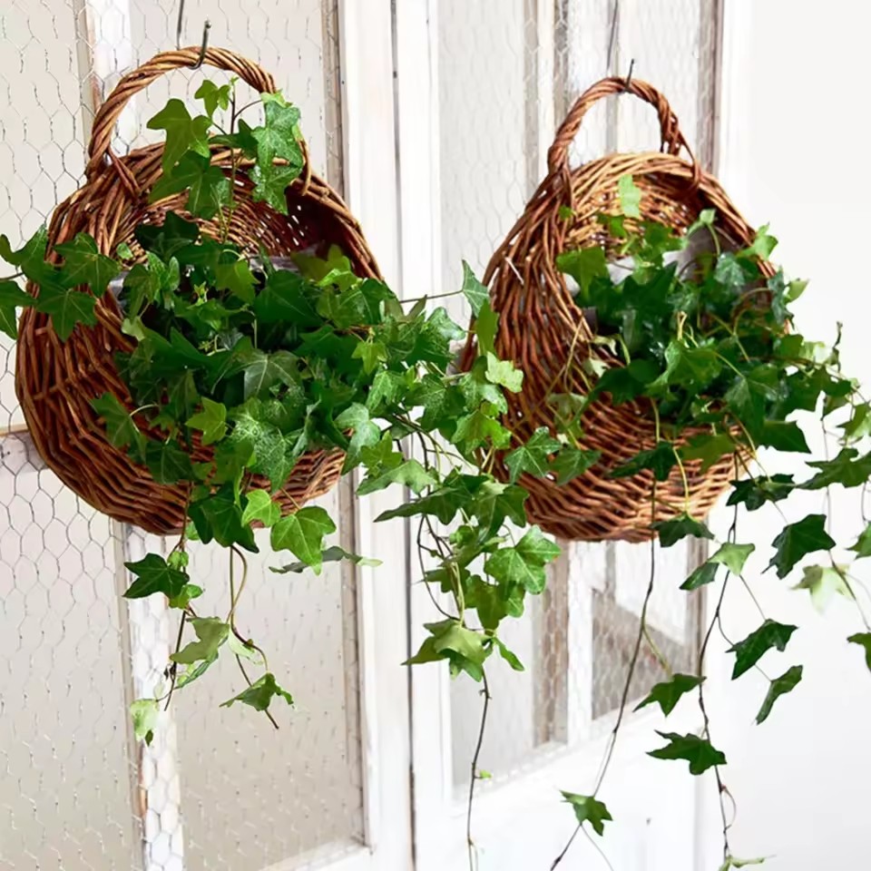 Rattan Plant Basket - Handgemaakte Rieten Rotan Bloem Planter Muur