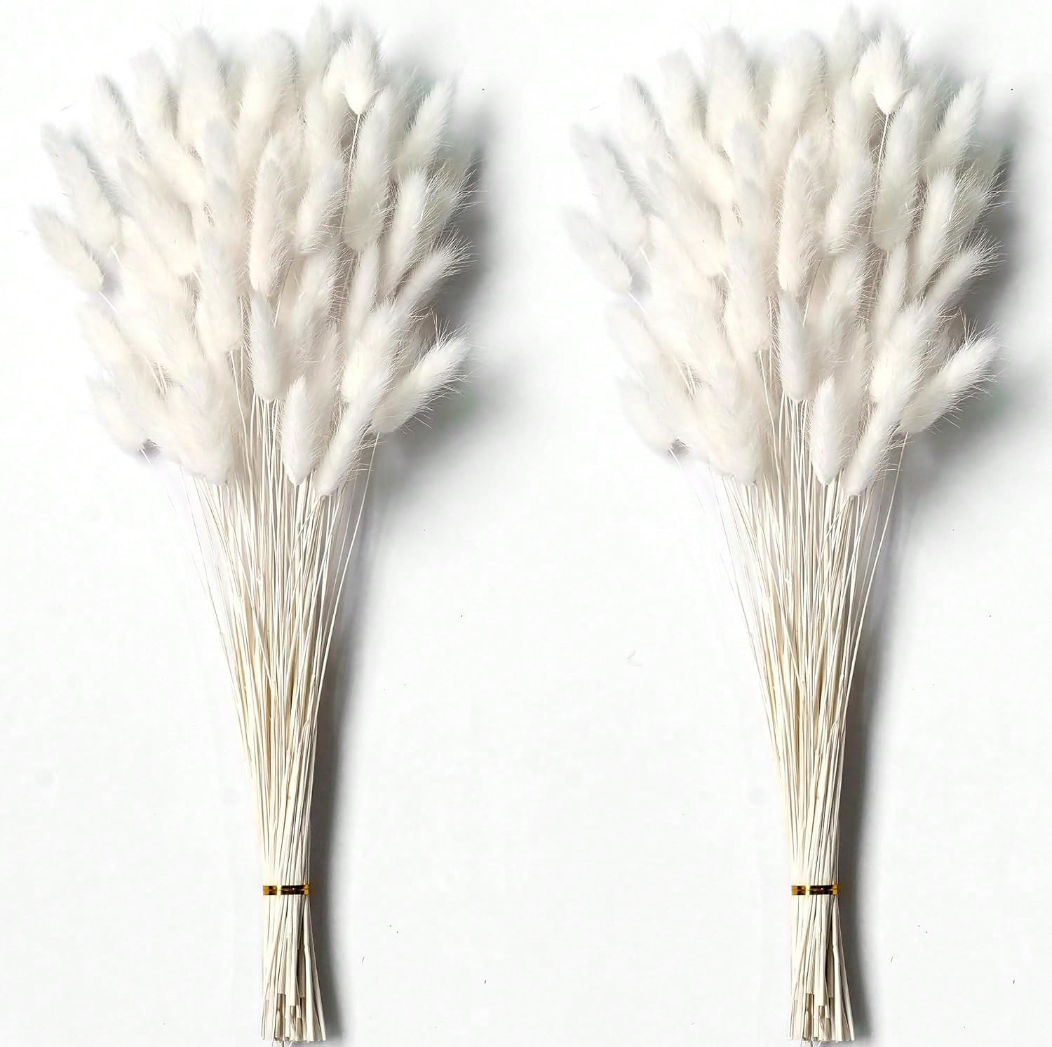 Pampas Grass Decor - 120 stuks gedroogd pampasgras decor droge