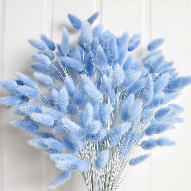Pampas Grass Decor - 100 STKS Blauw Haas-staart Gras Konijn