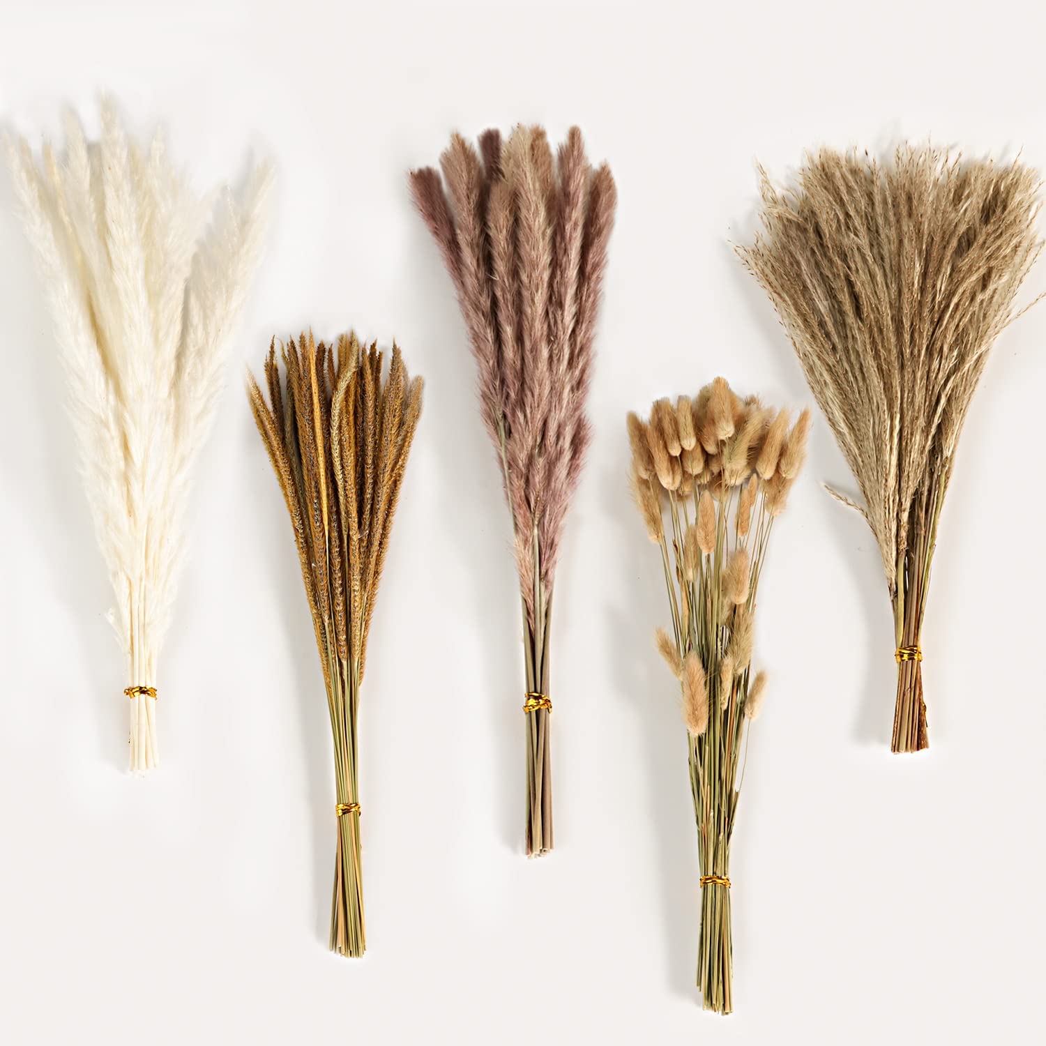 Herfst Vintage Gemengd Gedroog - Pampas Grass Decor recensie en prijs