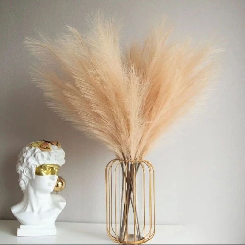 10 Stuks Kunstmatig Pompeuze G - Pampas Grass Decor recensie en prijs