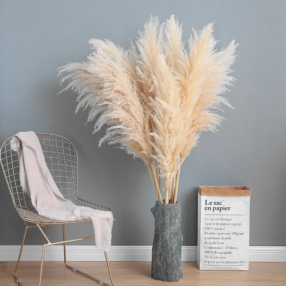 120 cm - 130 cm pluizig groot  - Pampas Grass Decor recensie en prijs