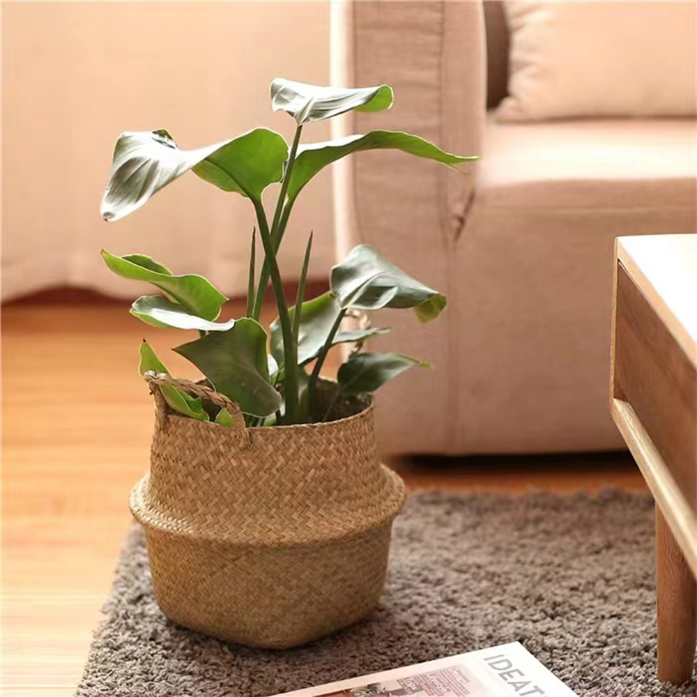 Plantenmand met handvatten Rie - Rattan Plant Basket recensie en prijs