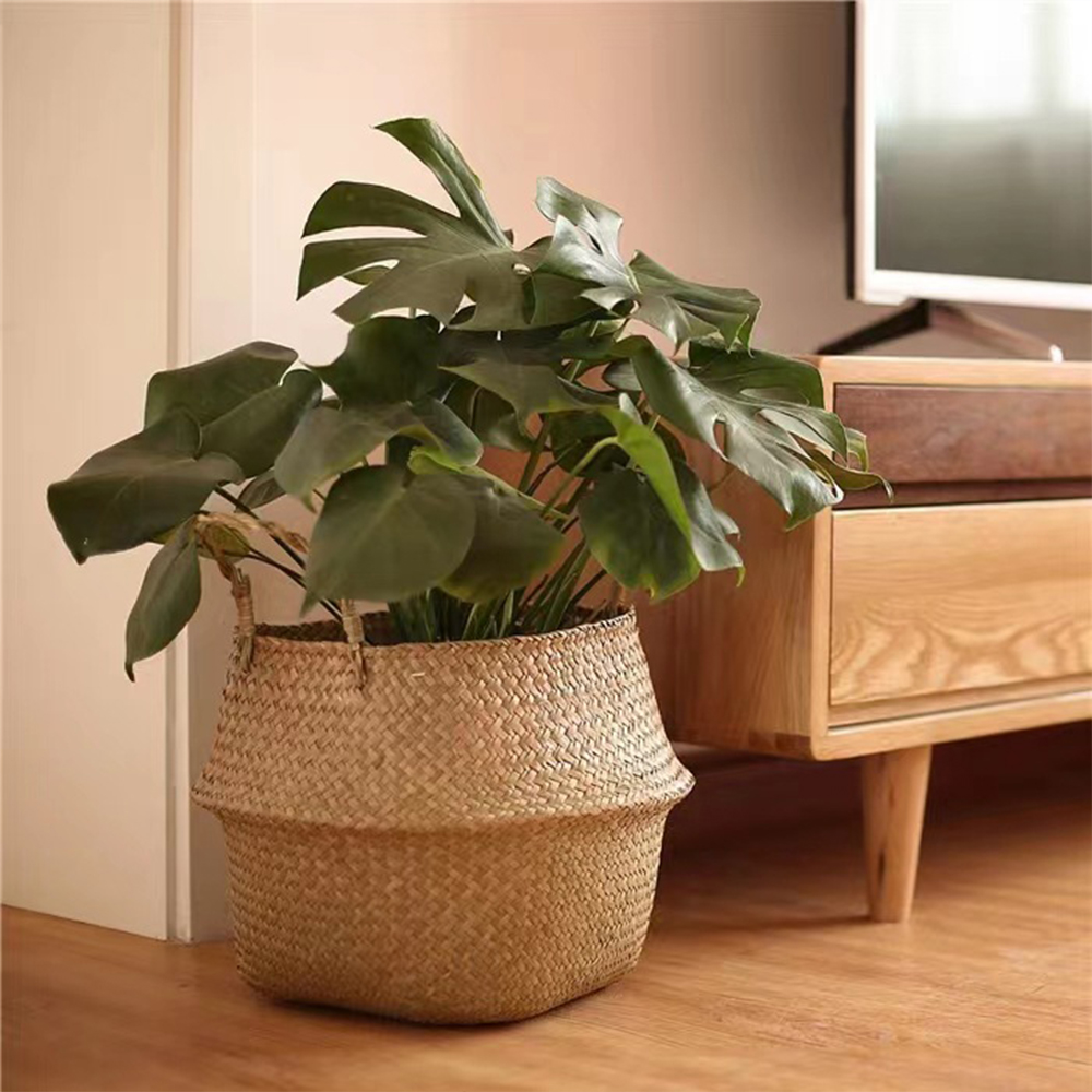 Plantenmand met handvatten Rie - Rattan Plant Basket recensie en prijs