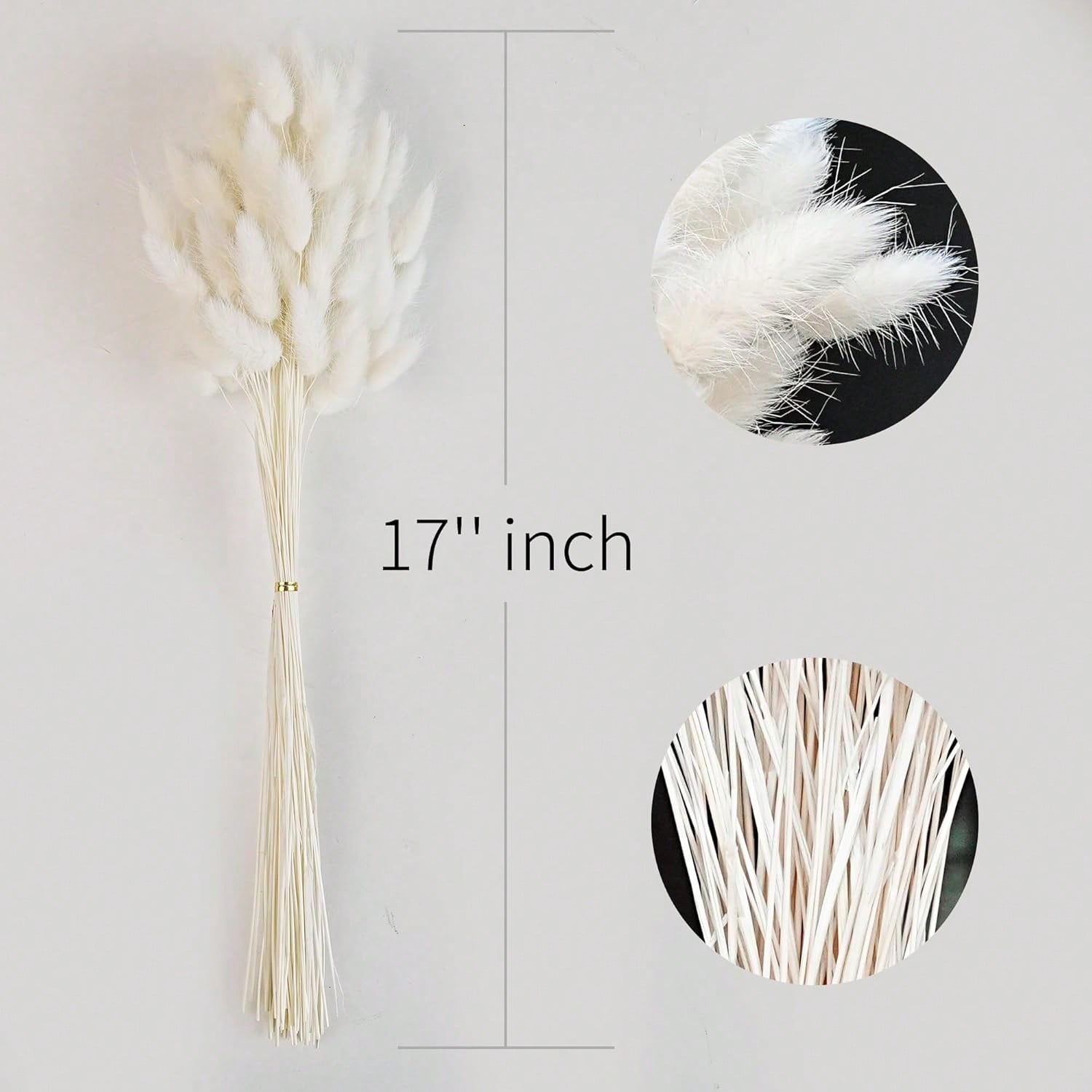 120 stuks gedroogd pampasgras  - Pampas Grass Decor recensie en prijs