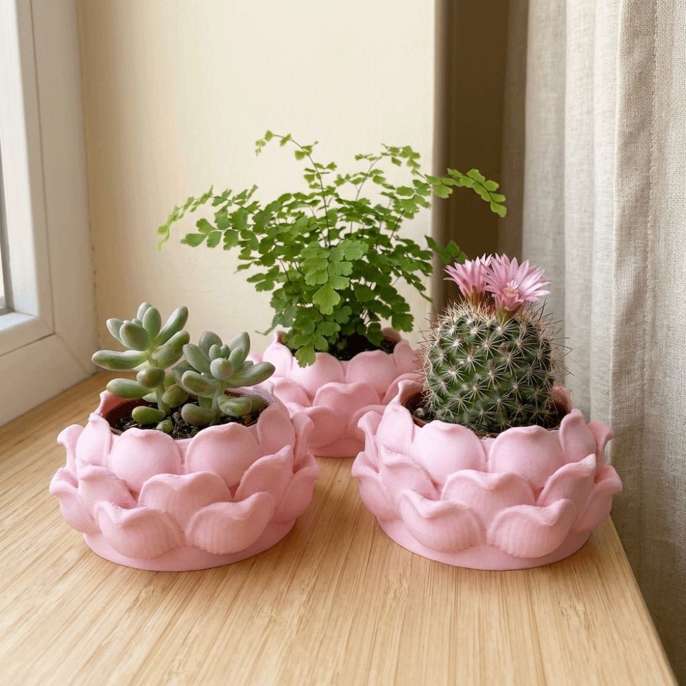 Lotusvormige succulenten pot,  - Rattan Plant Basket recensie en prijs